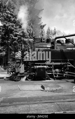 99 7238-1 nimmt Wasser auf Drei Annen Hohne mit dem 09:42 Wernigerode - Brocken-Service. Stockfoto