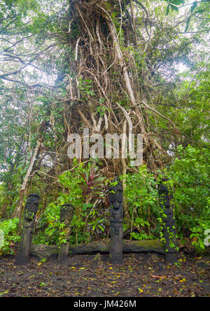 Baum-Farn Grade Figuren in den Dschungel, Insel Ambrym, Olal, Vanuatu Stockfoto