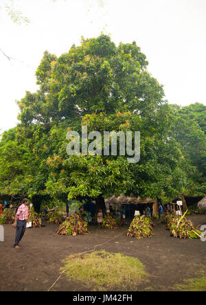 Yams Wurzeln angeboten als Geschenke für eine traditionelle Hochzeit, Provinz Malampa, Ambrym Insel, Vanuatu Stockfoto