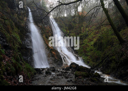 Grey Mare Tail / Rhaeadr y Parc Mawr, in der Nähe von Romanum. Stockfoto
