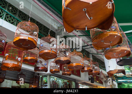 HONG KONG - 17. Juli 2014: Der Yuen Po Street Bird Garden. Vögel in den Käfigen. Stockfoto