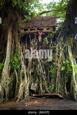 Teenager stand vor einer Beschneidung-Haus in einem riesigen Banyanbaum, Insel Tanna, Yakel, Vanuatu Stockfoto