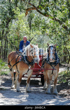 Tage des offenen Denkmals Leno im O'Leno State Park in Nordflorida. Stockfoto