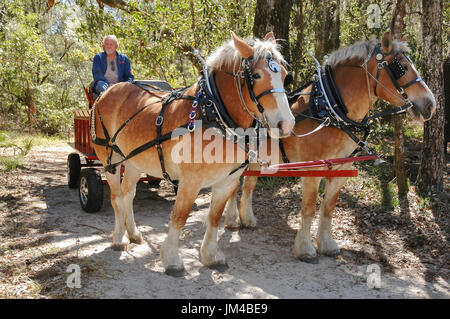 Tage des offenen Denkmals Leno im O'Leno State Park in Nordflorida. Stockfoto