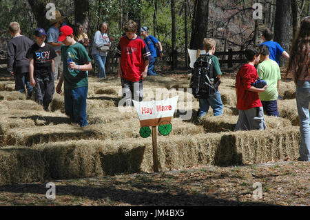 Kinder gehen durch ein Labyrinth von Heu während der Tage des offenen Denkmals Leno im OLeno State Park in North Florida. Stockfoto