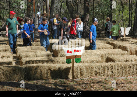 Kinder gehen durch ein Labyrinth von Heu während der Tage des offenen Denkmals Leno im OLeno State Park in North Florida. Stockfoto