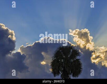 Sonnenuntergang im Alachua, Florida. Stockfoto