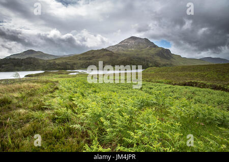 Malerische Aussicht auf Glen Torridon mit Loch Claire in den Vordergrund und Sgurr Dubh im Hintergrund. Stockfoto