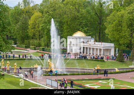 Peterhof, Russland - Juni 03.2017. Park mit Springbrunnen vor dem Schloss Stockfoto