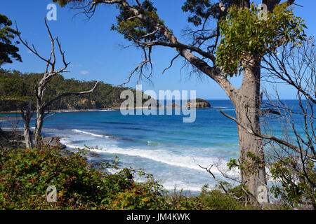 Blick über tessellierte Pflaster auf Clydes Insel bei Eaglehawk Neck auf Tasman Halbinsel, Tasmanien, Australien Stockfoto