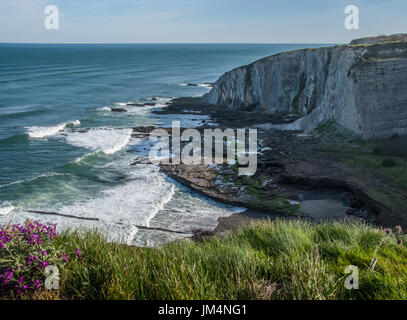 Detail der Küste Klippen in Bizkaia, Baskenland Stockfoto