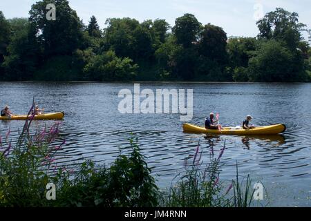 Vier Personen Kanus paddeln, auf der Dordogne Fluss, Bergerac, Dordogne, Frankreich Stockfoto