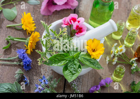 ätherische Öle für Aromatherapie-Behandlung mit frischen Kräutern in Mörtel weißer Hintergrund Stockfoto