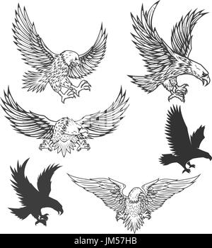 Illustration von fliegenden Adler isoliert auf weißem Hintergrund. Vektor-Illustration. Stock Vektor