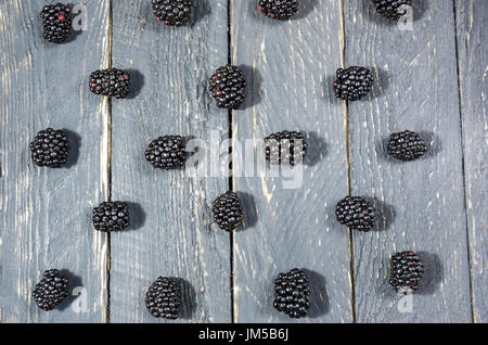 BlackBerry-Beeren sind in einer Reihe angeordnet. Flach zu legen. Zusammensetzung aus Beeren. Stockfoto