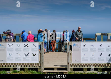 Eine Gruppe von Naturliebhaber auf einem Bempton Cliffs Aussichtspunkt auf der RSPB Natur Reserve, UK. Männer und Frauen, Männer und Frauen. Stockfoto