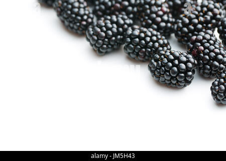 Leckere reife Brombeeren isoliert auf weißem Hintergrund. Stockfoto