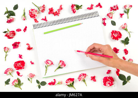 Frau hand Zeichnung auf Spirale Notebook mit Buntstiften und Rose. Stockfoto