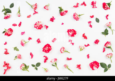 Florale Muster aus Rosen, grüne Blätter, Zweige auf weißem Hintergrund. Flach legen, Top Aussicht. Stockfoto