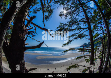 Ein Blick auf Short Sands Beach im Oswald West State Park in Oregon Stockfoto