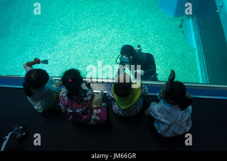 OSAKA, JAPAN - 18. Juli 2017: Unbekannte Kinder freuen sich über Meerestiere und und Blick auf Taucher in Osaka Aquarium Kaiyukan in Osaka, Japan Stockfoto