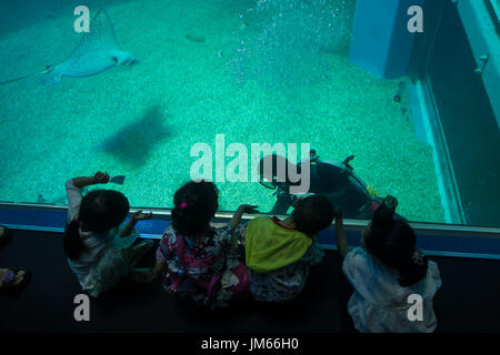 OSAKA, JAPAN - 18. Juli 2017: Unbekannte Kinder freuen sich über Meerestiere und und Blick auf Taucher in Osaka Aquarium Kaiyukan in Osaka, Japan Stockfoto