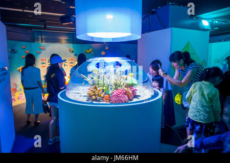 OSAKA, JAPAN - 18. Juli 2017: Nicht identifizierten Personen suchen farbenfrohe Korallenriffe und Fische in einem kleinen Goldfischglas in Osaka Aquarium, Osaka Japan Stockfoto