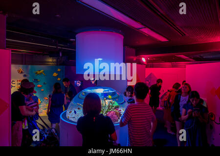 OSAKA, JAPAN - 18. Juli 2017: Nicht identifizierten Personen suchen farbenfrohe Korallenriffe und Fische in einem kleinen Goldfischglas in Osaka Aquarium, Osaka Japan Stockfoto