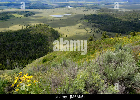 Snake River, Kuh-See und Talblick von Jackson Lake Overlook, Grand-Teton-Nationalpark, Wyoming, USA Stockfoto