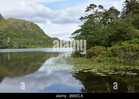 Pollacapall Lough neben Kylemore Abbey in Connemara, County Galway, Irland Stockfoto