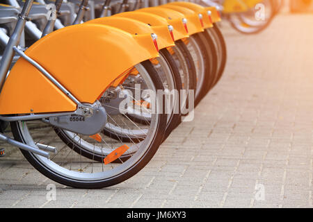 Verleih Fahrräder Nahaufnahme. Hinterräder der Mieträder stehen hintereinander. Fahrradverleih in Amsterdam. Stockfoto