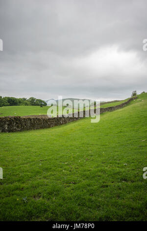 Einen freien Blick auf eine grüne Weide mit Steinzaun befindet sich in Wales, UK Stockfoto