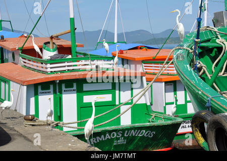 Vögel, weiße Reiher oder Reiher Schutz der Boote im Hafen von Angra Dos Reis, Rio De Janeiro, Brasilien Stockfoto