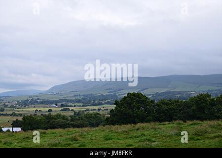 Bilder von Bäumen und langen Rasen und Blumen Stockfoto