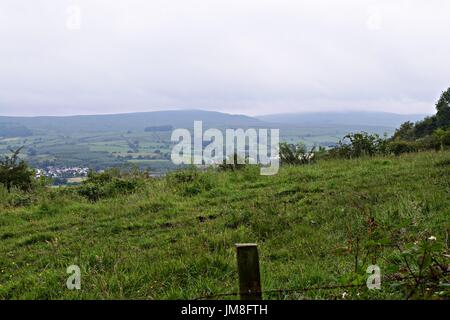 Bilder von Bäumen und langen Rasen und Blumen Stockfoto