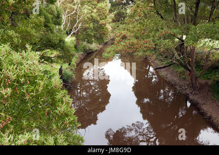 Ansicht des Flusses Gellibrand, Great Ocean Road, Victoria, Australien Stockfoto