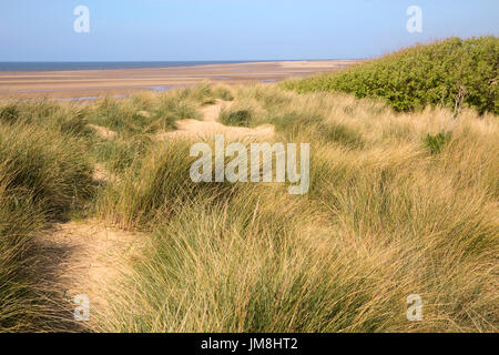 Bild zeigt: Strand Hütten am alten Hunstanton Norfolk © Julian Wyth. Alle Rechte vorbehalten. Keine unerlaubte Verwendung. Stockfoto