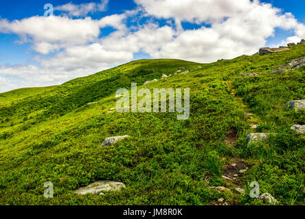 Sommer-Berglandschaft. Wanderweg bergauf durch den Grat zum Gipfel. schöne Natur-Szene im Sommer Stockfoto