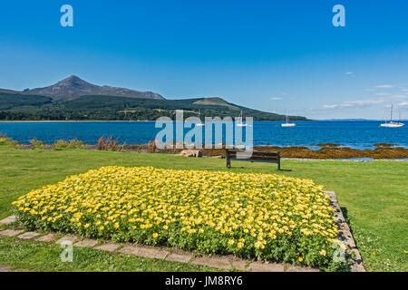 Blume Disiplay Brodick Bay in Brodick Arran Argyll & Bute Scotland UK Stockfoto