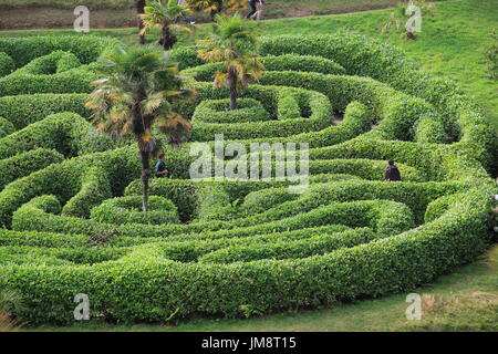 Menschen erkunden das Labyrinth bei Glendurgan Garden, Cornwall, England, UK Stockfoto