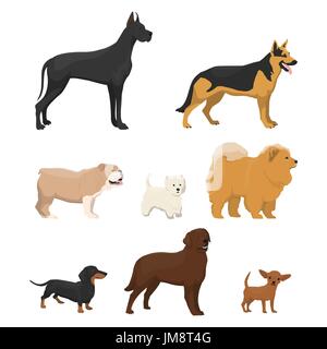 Vektor-Illustrationen-Set von verschiedenen Arten von Hund Stock Vektor