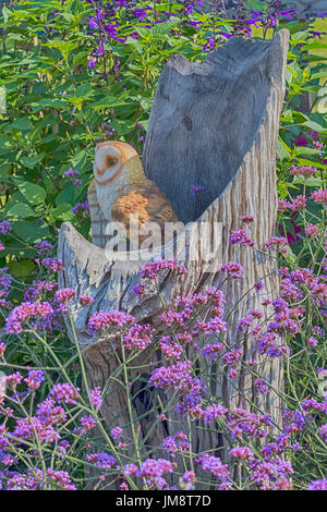 Teil der Stewarts Gartencenter Wiese Garten im New Forest & Hampshire Land zeigen, Brockenhurst, Hampshire. Ornamentale Schleiereule im Baumstamm Stockfoto