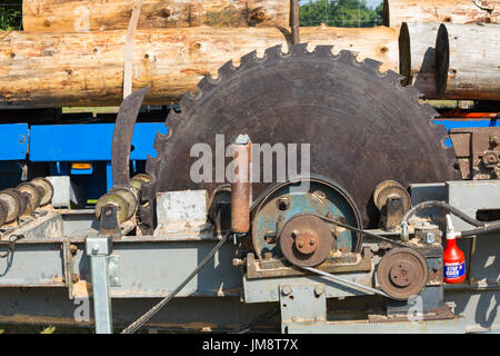 Kreisförmige Sägeblatt, verwendet für das Sägen durch Baumstämme mechanische Kraft auf einer Bank im New Forest & Hampshire Land zeigen, Brockenhurst, Hampshire Stockfoto