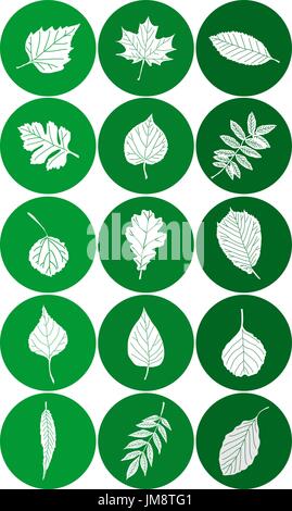 Reihe von abstrakten Blatt Icons. Vektor-illustration Stock Vektor