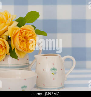 Farbe Fotographie Studie über eine gelbe rose Rosa Graham Thomas Stockfoto