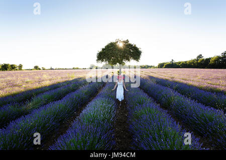 Frau in weißem Kleid und Hut berühren Lavendel mit beiden Händen in Lavendel-Feld in der Nähe von Saignon, Lauberon, Vaucluse, Provence, Frankreich. Stockfoto