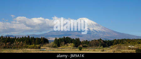 Schöne Aussicht Mt. Fuji mit Schnee, blauer Himmel und getrocknete Grass im Sommer in Yamanashi, Japan. Stockfoto