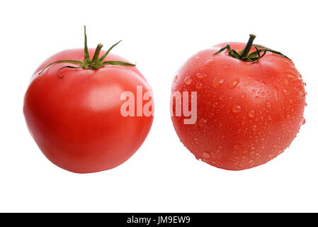 Ripe, appetitliche und leckere rote Tomaten mit Wassertropfen auf einem weißen Hintergrund isoliert gewaschen. Stockfoto