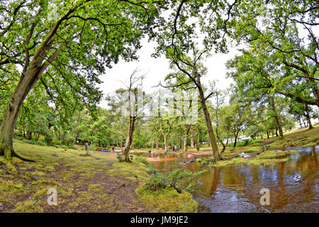 Kinder spielen in einer neuen Gesamtstruktur streamen "Ober Wasser" neben Aldridge Hill Caravan Park und Campingplatz in der Nähe von Brockenhurst, Hampshire, England Stockfoto