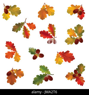 Herbst Symbol gesetzt. Fallen Blätter und Beeren. Natur symbol Vektor Sammlung auf weißem Hintergrund. Stockfoto